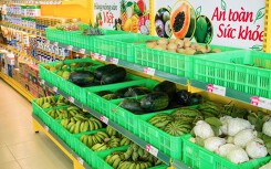 Mỗi ngày Thế Giới Di Động bán 40 tấn chuối, dưa hấu