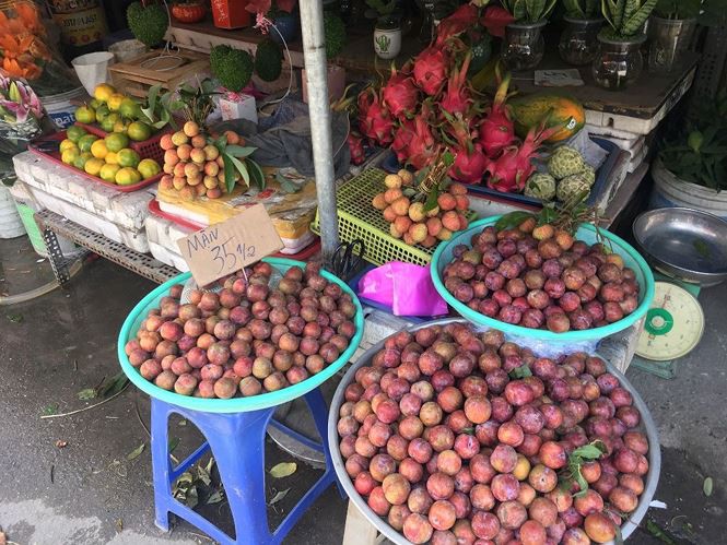 Mận hậu giá rẻ bán ngập chợ Sài Gòn - Ảnh 3. Mận hậu giá rẻ bán ngập chợ Sài Gòn - Ảnh 3.