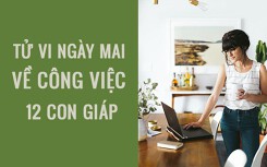 Tử vi hôm nay (5/5/2019) về công việc của 12 con giáp: Tuổi Dần giữ lửa đam mê và nhiệt huyết