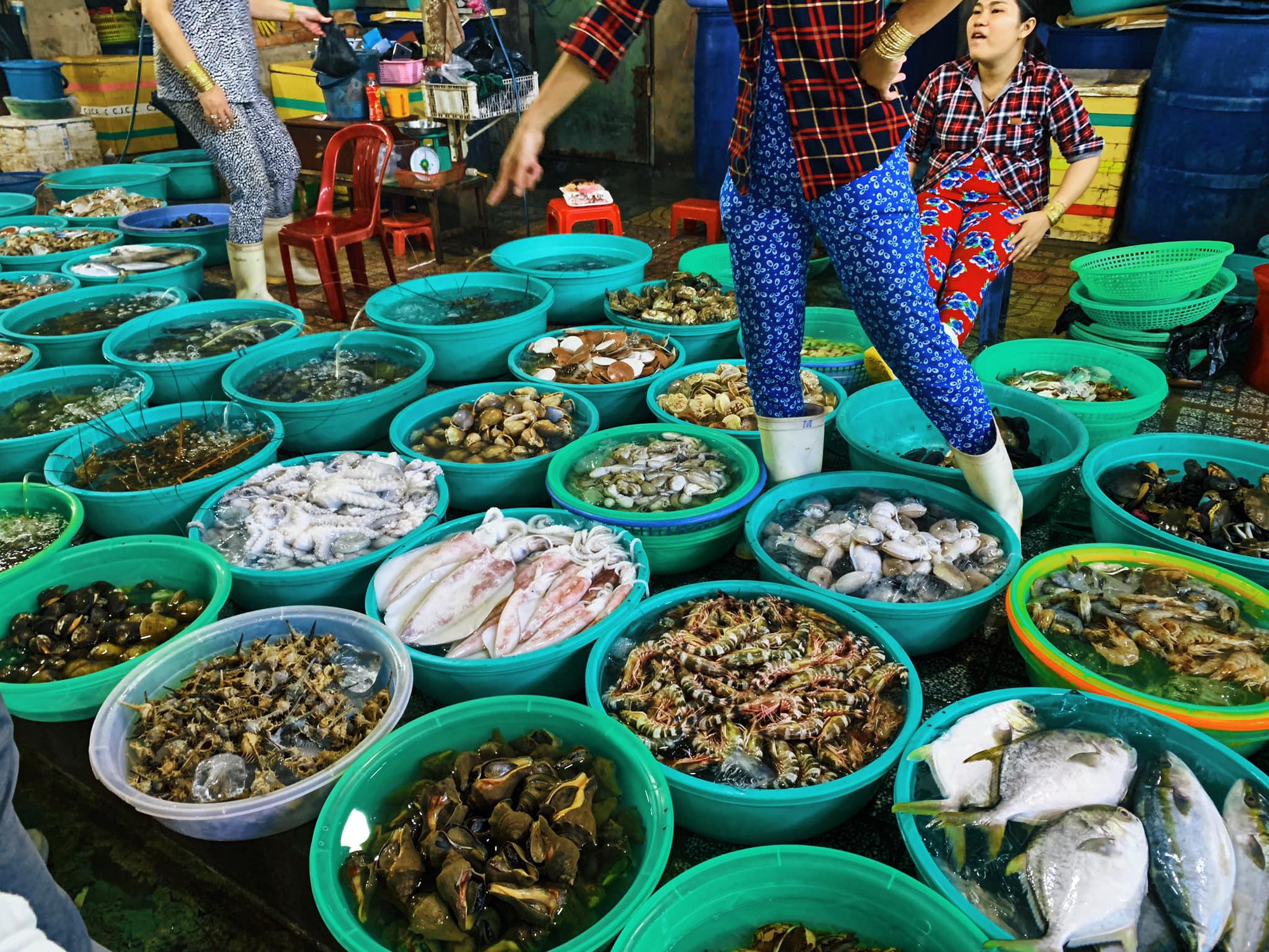 Những tour du lịch sinh thái gần Sài Gòn cho các gia đình có trẻ nhỏ ngày hè - Ảnh 10. Những tour du lịch sinh thái gần Sài Gòn cho các gia đình có trẻ nhỏ ngày hè - Ảnh 10.