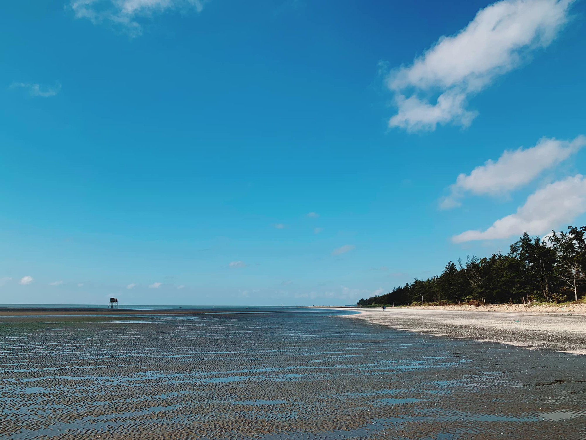Những tour du lịch sinh thái gần Sài Gòn cho các gia đình có trẻ nhỏ ngày hè - Ảnh 7. Những tour du lịch sinh thái gần Sài Gòn cho các gia đình có trẻ nhỏ ngày hè - Ảnh 7.
