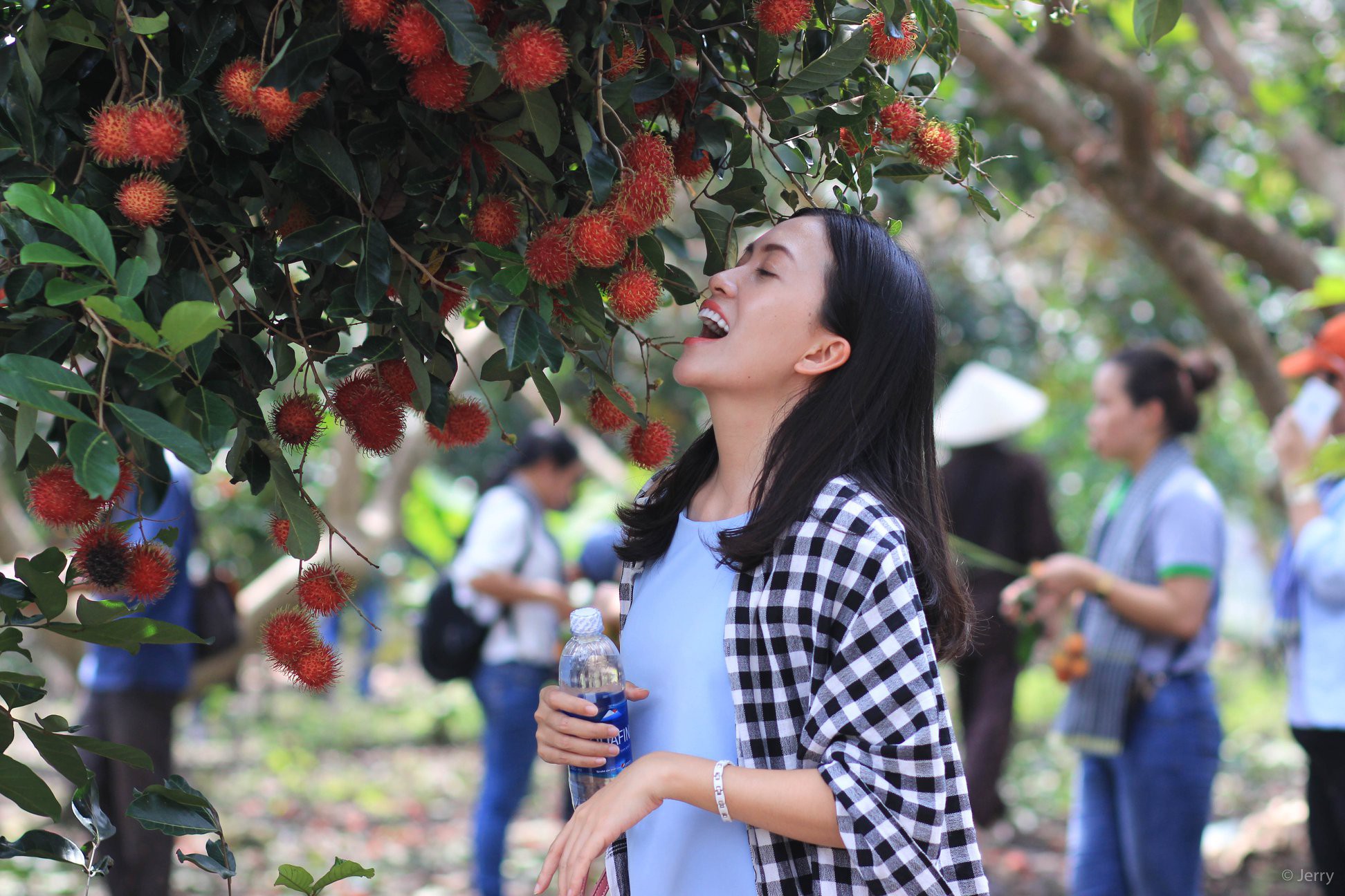 Những tour du lịch sinh thái gần Sài Gòn cho các gia đình có trẻ nhỏ ngày hè - Ảnh 12. Những tour du lịch sinh thái gần Sài Gòn cho các gia đình có trẻ nhỏ ngày hè - Ảnh 12.