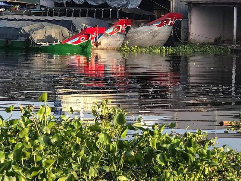 Nước sông ô nhiễm, đen kịt không rõ nguyên nhân - Ảnh 1. Nước sông ô nhiễm, đen kịt không rõ nguyên nhân - Ảnh 1.