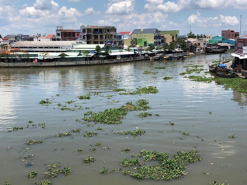 Nước sông ô nhiễm, đen kịt không rõ nguyên nhân - Ảnh 3. Nước sông ô nhiễm, đen kịt không rõ nguyên nhân - Ảnh 3.