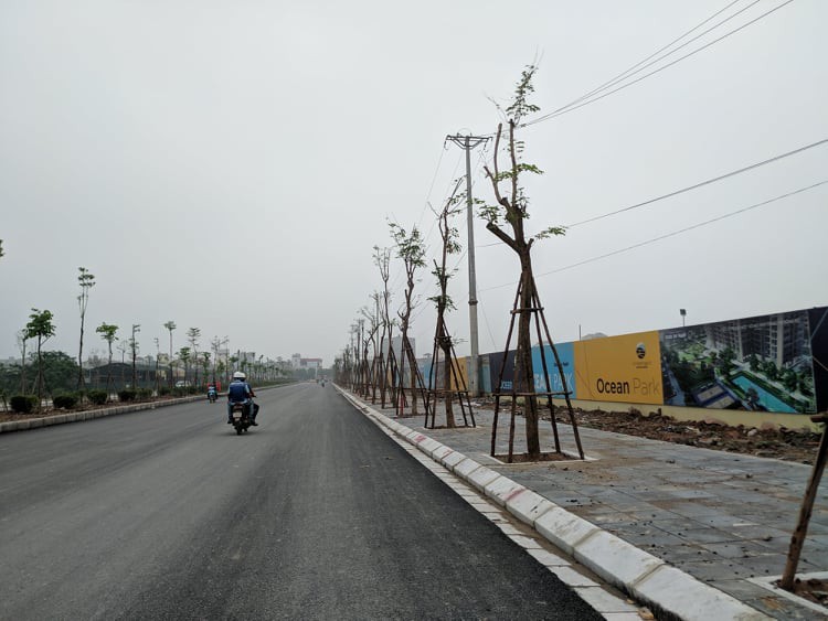 Siêu dự án đổ bộ, giá đất nền Gia Lâm tăng chóng mặt - Ảnh 2.