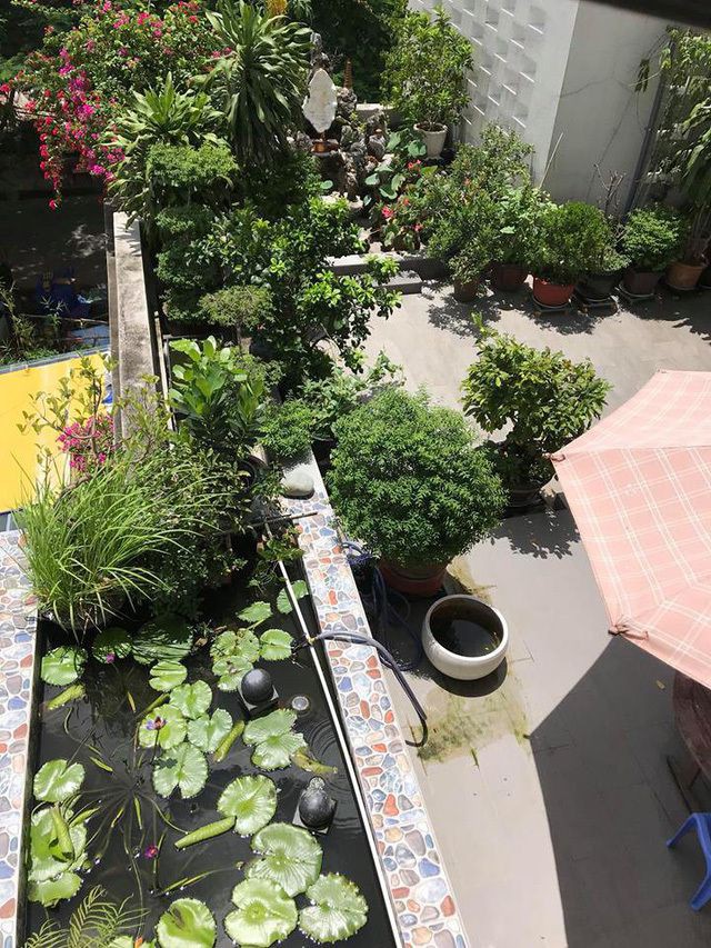 Ngắm căn biệt thự sang trọng ngập tràn hoa lá của Hồ Ngọc Hà - Ảnh 20. Ngắm căn biệt thự sang trọng ngập tràn hoa lá của Hồ Ngọc Hà - Ảnh 20.