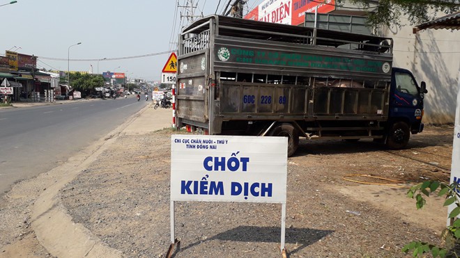 Thêm huyện Nhơn Trạch của Đồng Nai công bố dịch tả heo châu Phi - Ảnh 1. Thêm huyện Nhơn Trạch của Đồng Nai công bố dịch tả heo châu Phi - Ảnh 1.