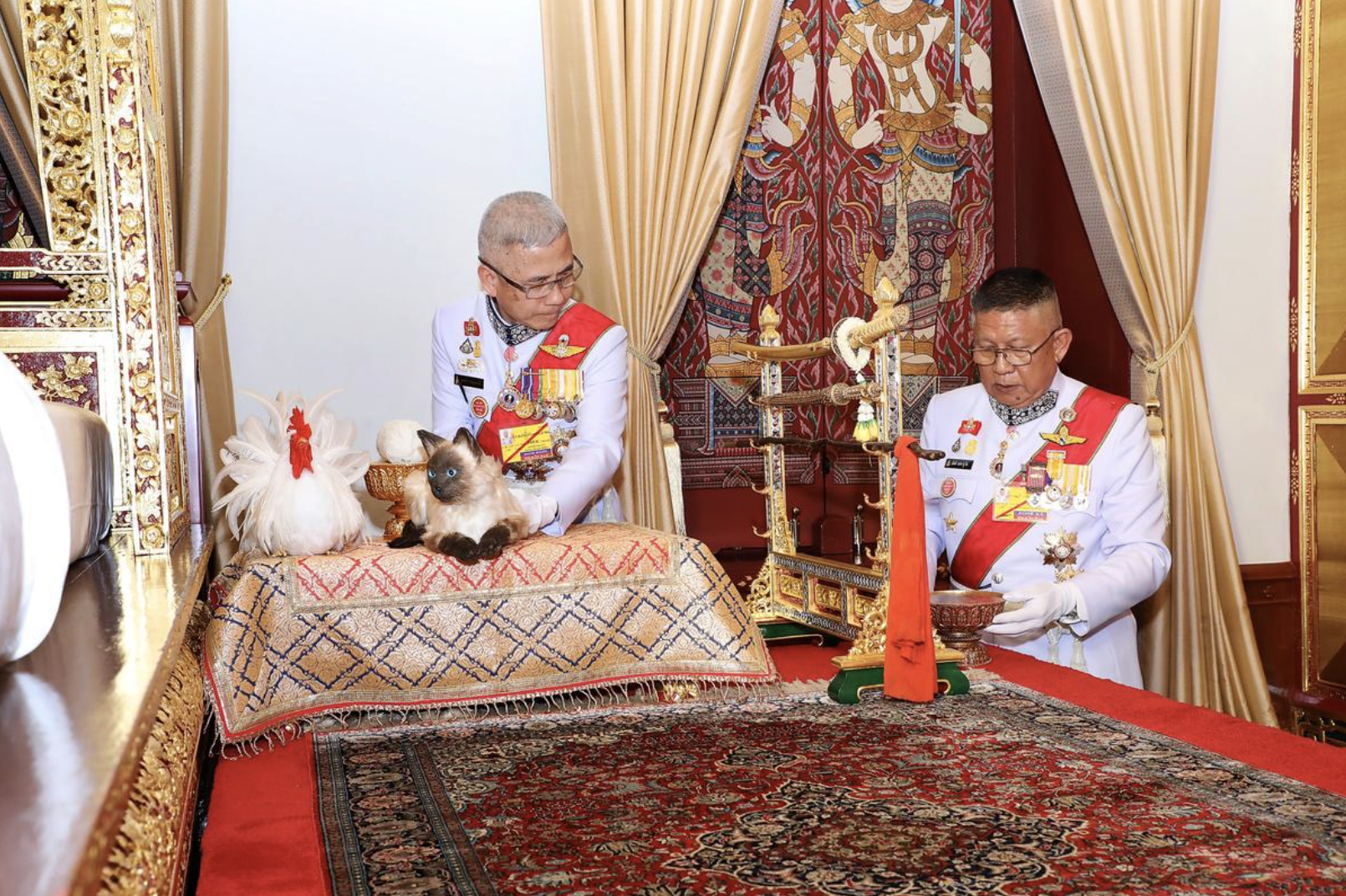 Tranh cãi về chú mèo xuất hiện trong lễ đăng quang của nhà vua Thái Lan - Ảnh 1.
