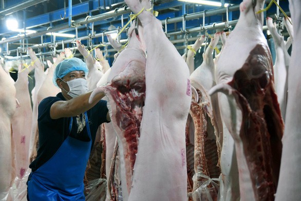 TP HCM lập hàng loạt điểm chốt chặn khắp cửa ngõ phòng chống dịch tả heo châu Phi - Ảnh 2. TP HCM lập hàng loạt điểm chốt chặn khắp cửa ngõ phòng chống dịch tả heo châu Phi - Ảnh 2.