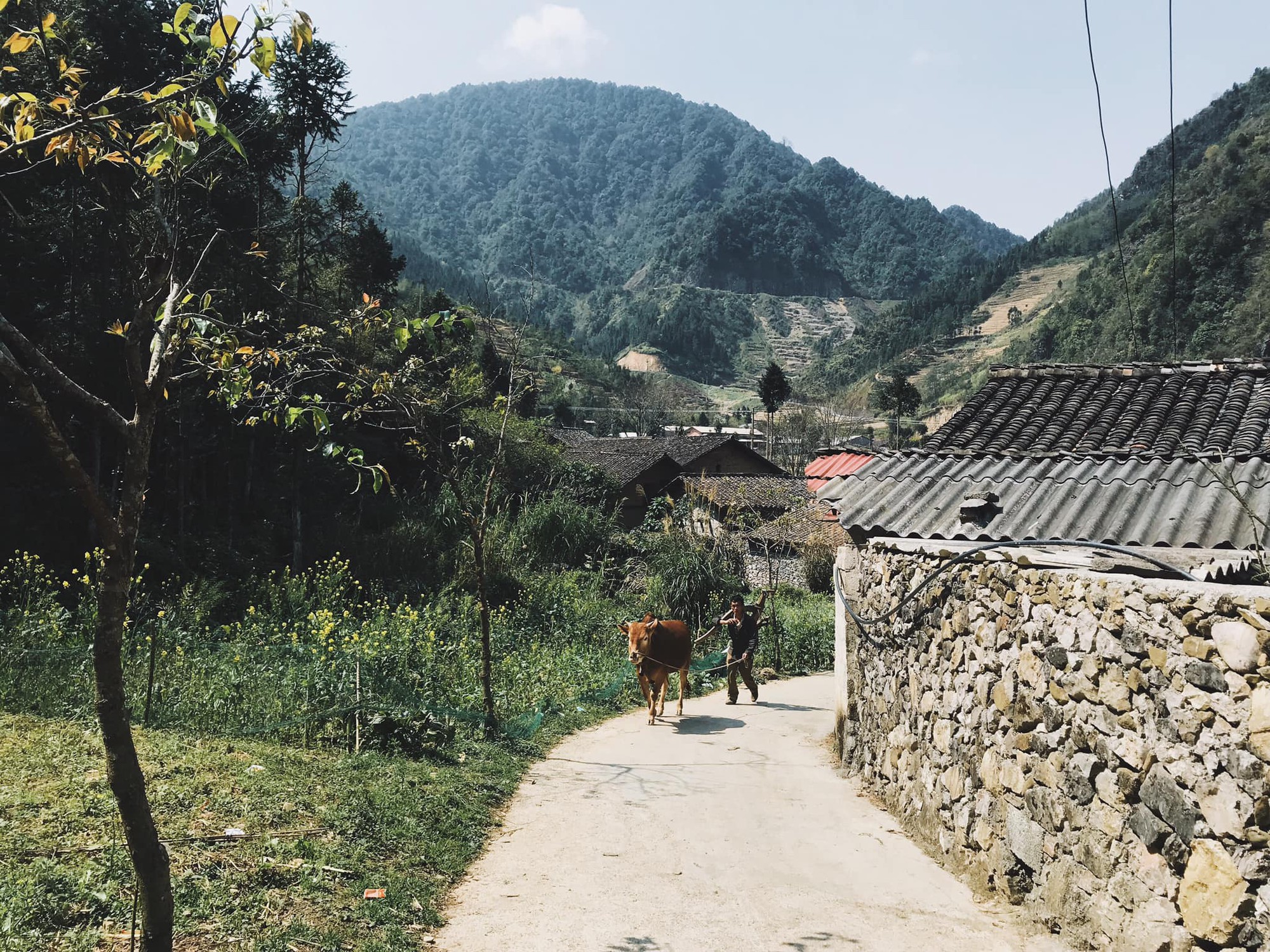 Du lịch gia đình trong 3 ngày vào mùa hè nên đi Hà Giang hay Mộc Châu? - Ảnh 3. Du lịch gia đình trong 3 ngày vào mùa hè nên đi Hà Giang hay Mộc Châu? - Ảnh 3.