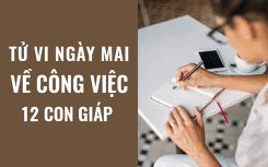 Tử vi ngày mai (8/5/2019) về công việc của 12 con giáp: Tuổi Tỵ cần lên kế hoạch chi tiết