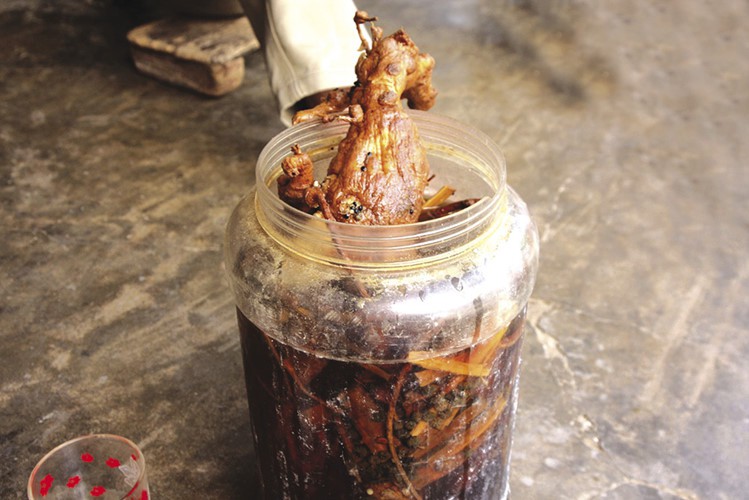 Lưỡi tê, da tái nhợt, ngừng thở từng cơn sau khi uống rượu ngâm củ ấu tẩu: Người đàn ông kể lại trải nghiệm suýt chết nhớ đời - Ảnh 2.