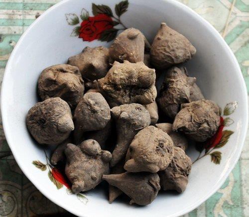 Lưỡi tê, da tái nhợt, ngừng thở từng cơn sau khi uống rượu ngâm củ ấu tẩu: Người đàn ông kể lại trải nghiệm suýt chết nhớ đời - Ảnh 3.