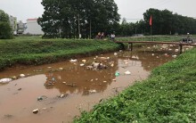 Bắc Giang: Nhiều xác lợn chết cùng rác thải sinh hoạt xuất hiện ở con mương bốc mùi hôi thối
