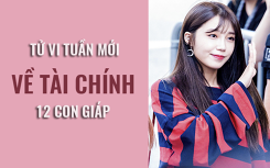 Tử vi tuần mới (3/6-9/6) về tài chính của 12 con giáp: Tài chính Tuổi Hợi ‘thuận co thì vừa kéo’