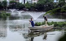 Vì sao cá chết hàng loạt ở hồ Văn Chương?