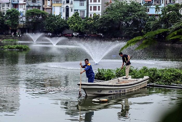 Vì sao cá chết hàng loạt ở hồ Văn Chương? - Ảnh 1. Vì sao cá chết hàng loạt ở hồ Văn Chương? - Ảnh 1.