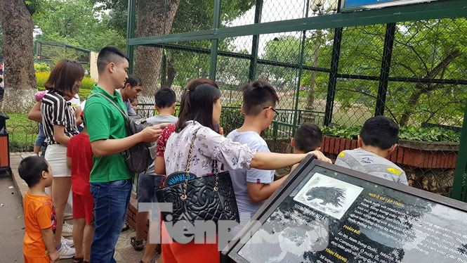 Công viên Thủ Lệ ken đặc người ngày Tết thiếu nhi - Ảnh 2.