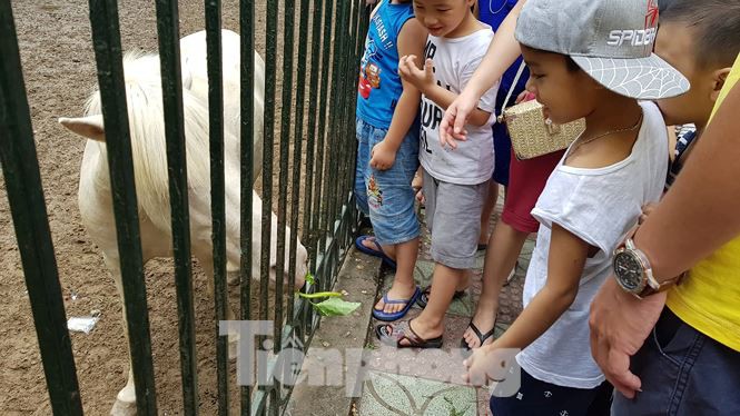 Công viên Thủ Lệ ken đặc người ngày Tết thiếu nhi - Ảnh 3.
