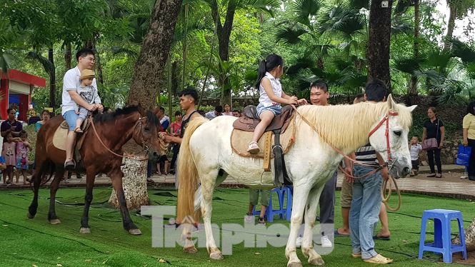 Công viên Thủ Lệ ken đặc người ngày Tết thiếu nhi - Ảnh 5.