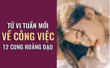 Tử vi tuần mới (03/6 – 09/6) về công việc của 12 cung hoàng đạo: Cự Giải năng suất cao đột biến!