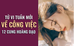 Tử vi tuần mới (03/6 – 09/6) về công việc của 12 cung hoàng đạo: Cự Giải năng suất cao đột biến!