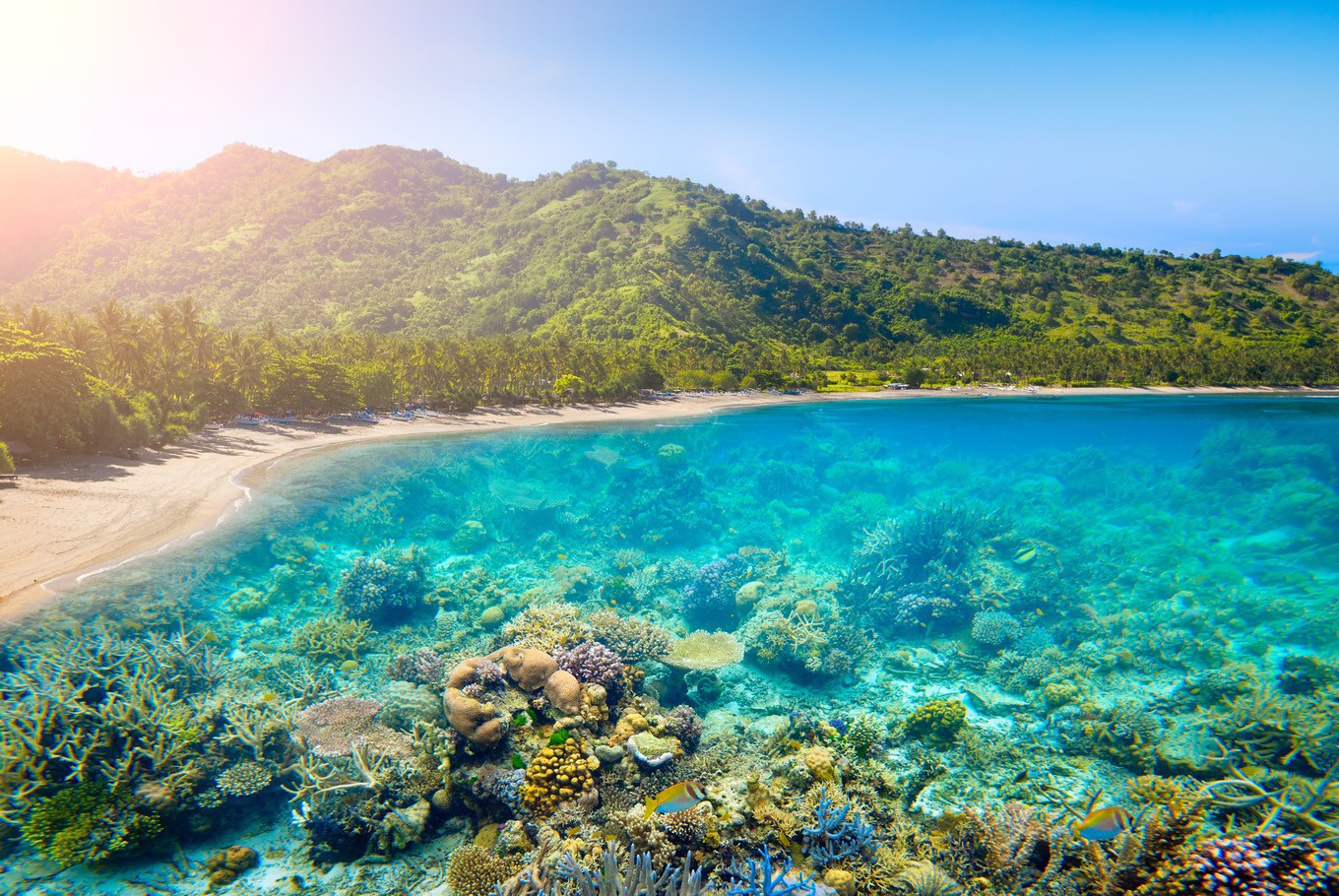 Bali đã quá quen thuộc, đổi gió ở đảo Lombok, cô hàng xóm xinh đẹp tại Indonesia - Ảnh 1. Bali đã quá quen thuộc, đổi gió ở đảo Lombok, cô hàng xóm xinh đẹp tại Indonesia - Ảnh 1.