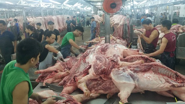 Giá thịt heo ở Sài Gòn tăng từng ngày, chợ đầu mối và chợ nhỏ lẻ tiêu thụ tốt - Ảnh 2. Giá thịt heo ở Sài Gòn tăng từng ngày, chợ đầu mối và chợ nhỏ lẻ tiêu thụ tốt - Ảnh 2.