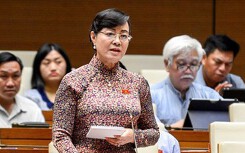 Tổ chức ra HĐND không phải nhằm mục đích 'tranh giành việc'