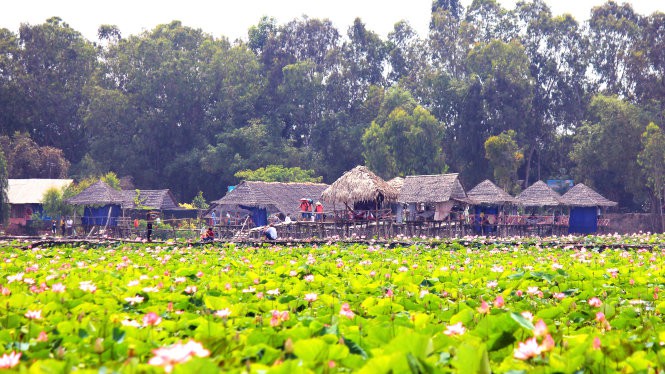 Đến Đồng Tháp du lịch để hòa mình cùng thiên nhiên vào mùa hè này - Ảnh 5. Đến Đồng Tháp du lịch để hòa mình cùng thiên nhiên vào mùa hè này - Ảnh 5.
