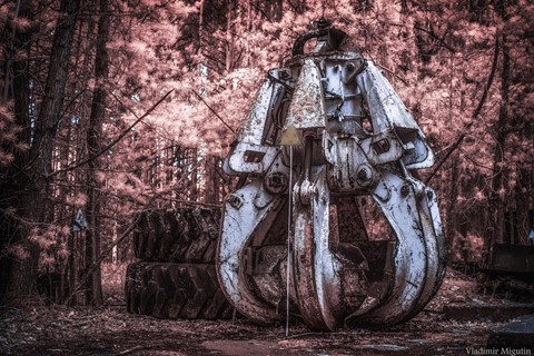 Vùng đất chết Chernobyl hóa xứ thần tiên qua ống kính nhiếp ảnh gia - Ảnh 10.