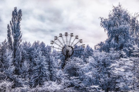 Vùng đất chết Chernobyl hóa xứ thần tiên qua ống kính nhiếp ảnh gia - Ảnh 11.