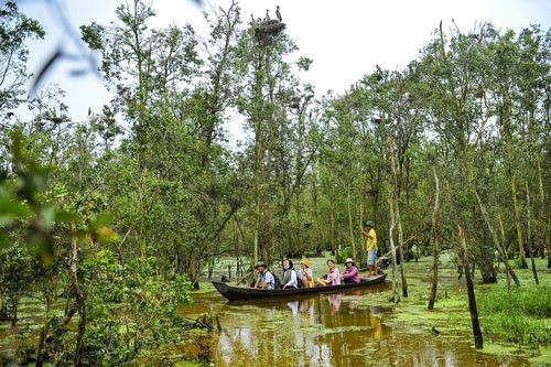 Đến Đồng Tháp du lịch để hòa mình cùng thiên nhiên vào mùa hè này - Ảnh 4. Đến Đồng Tháp du lịch để hòa mình cùng thiên nhiên vào mùa hè này - Ảnh 4.