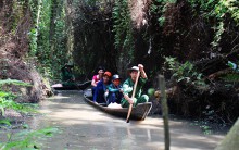 Đâu chỉ có sen, Đồng Tháp còn có những khu du lịch sinh thái khiến du khách ở chẳng muốn về