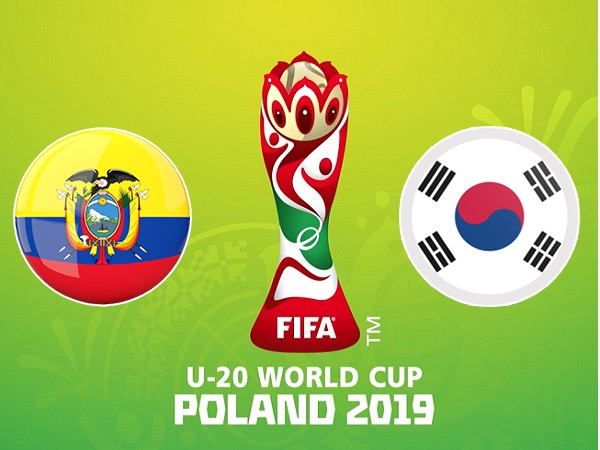 Nhận định U20 Ecuador vs U20 Hàn Quốc (1h30, 12/6), bán kết U20 World Cup - Ảnh 1. Nhận định U20 Ecuador vs U20 Hàn Quốc (1h30, 12/6), bán kết U20 World Cup - Ảnh 1.
