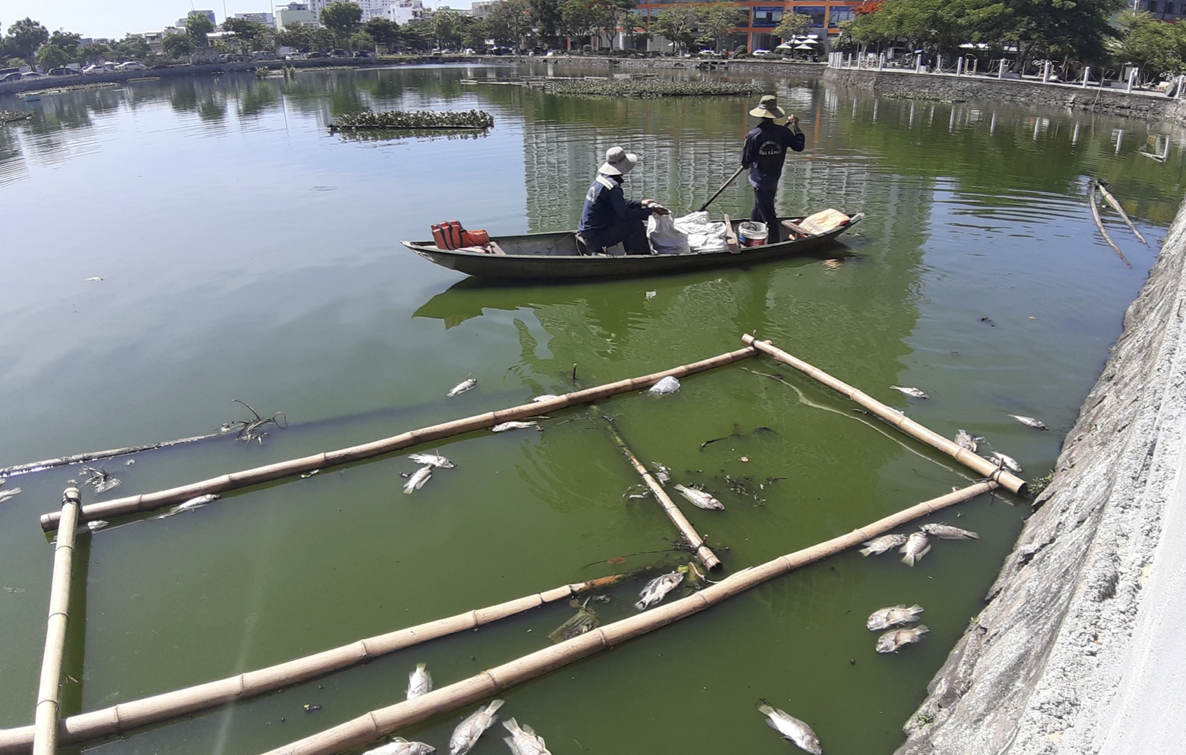 Ảnh chụp Màn hình 2019-06-12 lúc 17 Ảnh chụp Màn hình 2019-06-12 lúc 17