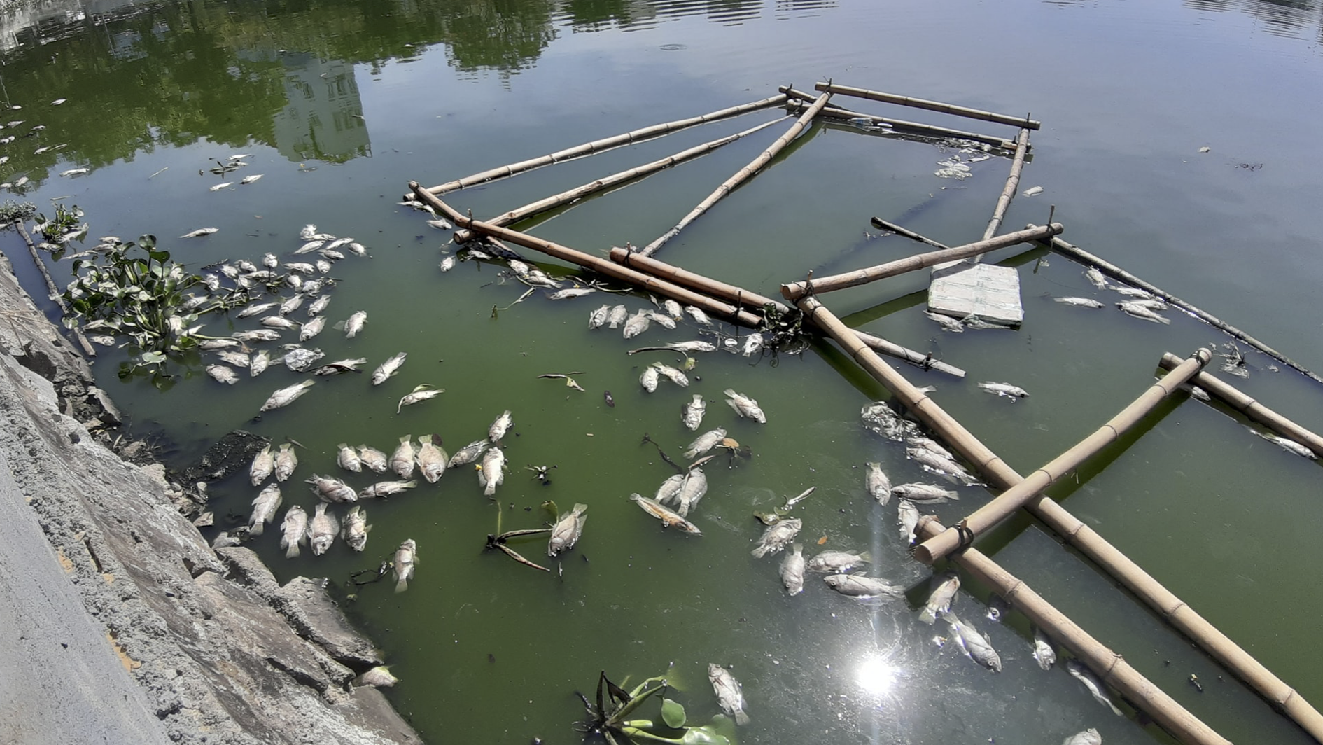 Ảnh chụp Màn hình 2019-06-12 lúc 17 Ảnh chụp Màn hình 2019-06-12 lúc 17