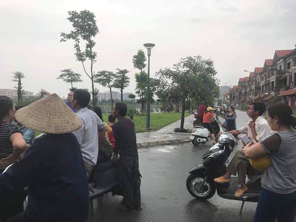 Anh1 Anh1