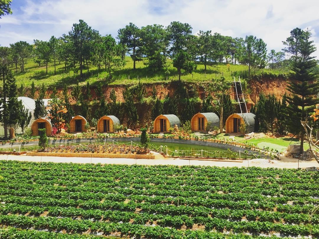 5 homestay Đà Lạt cho những ngày cần sự yên tĩnh - Ảnh 1.