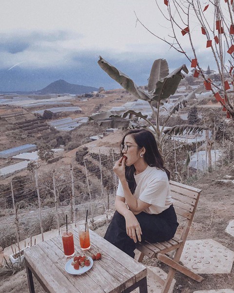 5 homestay Da Lat cho nhung ngay can su yen tinh hinh anh 13 