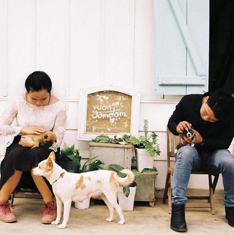 5 homestay Da Lat cho nhung ngay can su yen tinh hinh anh 8 