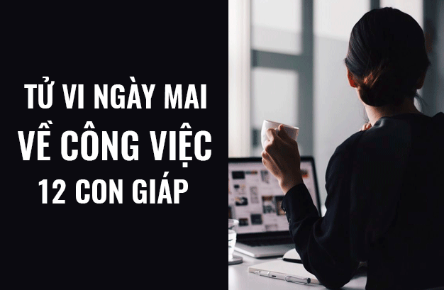 tvcv