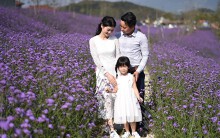 Cả nước nóng như lò than, riêng Fansipan mát lạnh