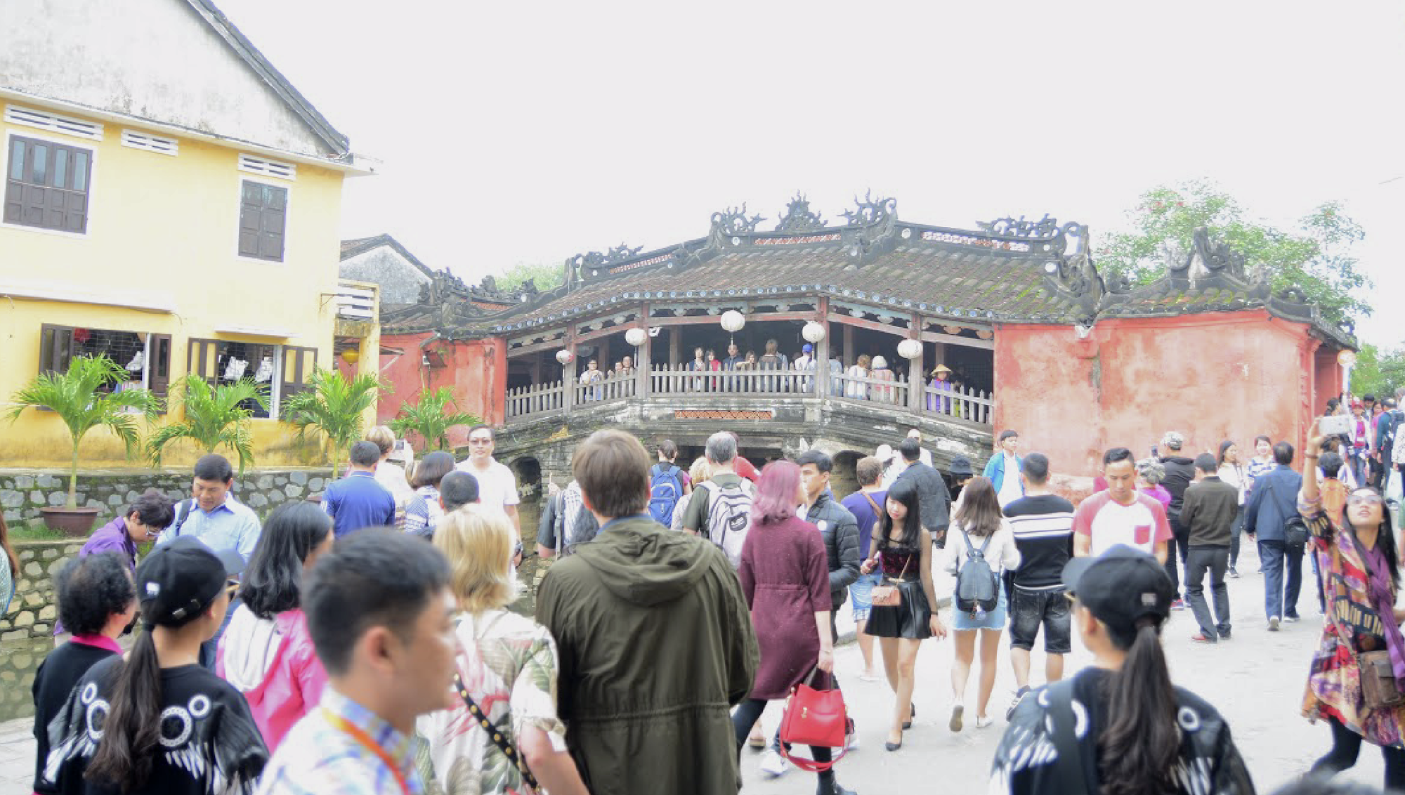 Ảnh chụp Màn hình 2019-06-14 lúc 09 Ảnh chụp Màn hình 2019-06-14 lúc 09