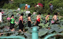 Nắng cháy da, U60 dầm mình dưới đầm sen tạo dáng