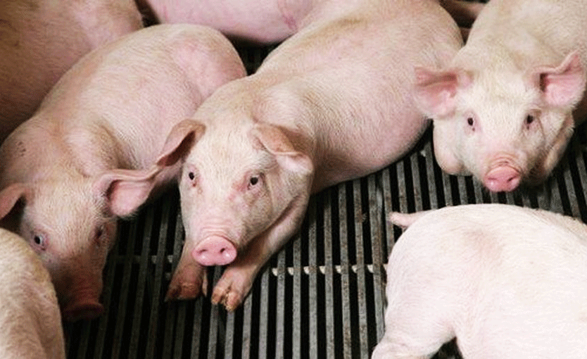 heo-1