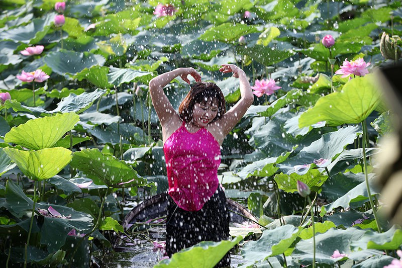 Nắng cháy da, U60 dầm mình dưới đầm sen tạo dáng - Ảnh 11. Nắng cháy da, U60 dầm mình dưới đầm sen tạo dáng - Ảnh 11.