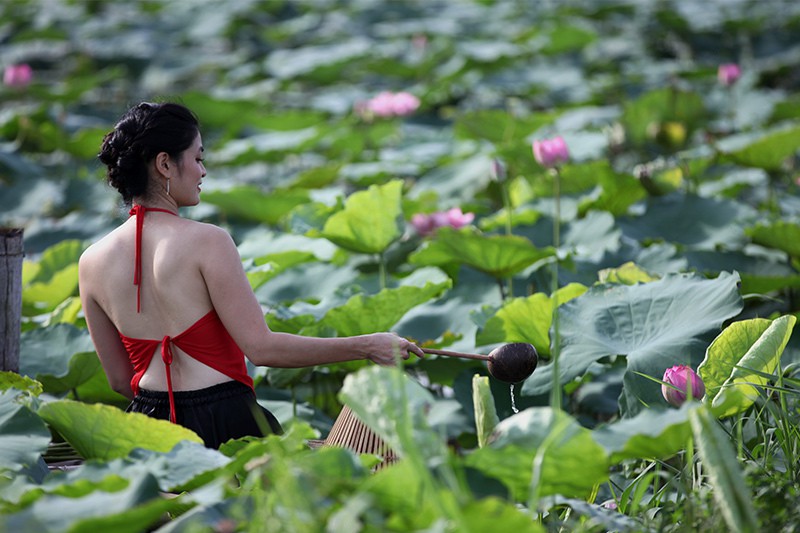 Nắng cháy da, U60 dầm mình dưới đầm sen tạo dáng - Ảnh 16. Nắng cháy da, U60 dầm mình dưới đầm sen tạo dáng - Ảnh 16.