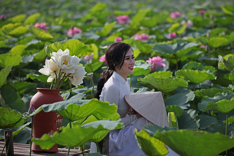 Nắng cháy da, U60 dầm mình dưới đầm sen tạo dáng - Ảnh 8. Nắng cháy da, U60 dầm mình dưới đầm sen tạo dáng - Ảnh 8.