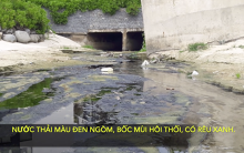Nước thải đen ngòm và sạt lở ở khu vực bãi tắm Sơn Thủy, Đà Nẵng